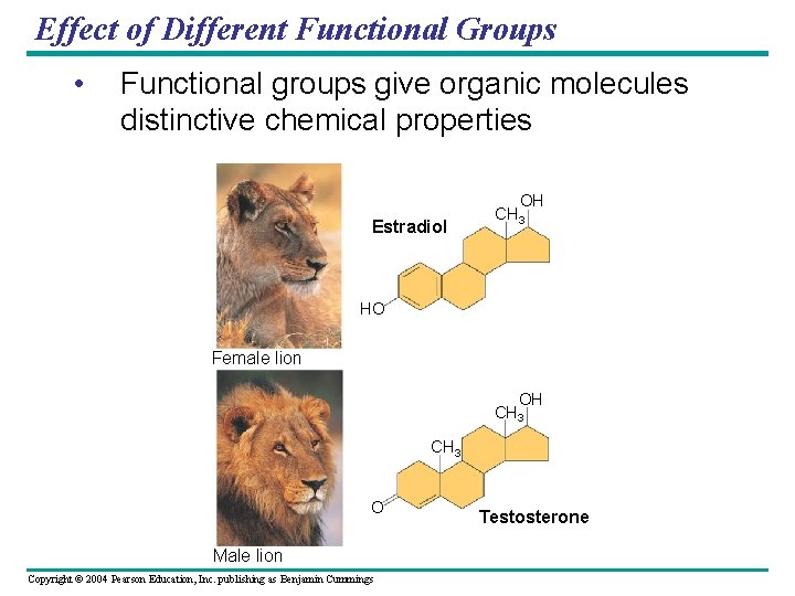 Effect of Different Functional Groups • Functional groups give organic molecules distinctive chemical properties Effect of Different Functional Groups • Functional groups give organic molecules distinctive chemical properties