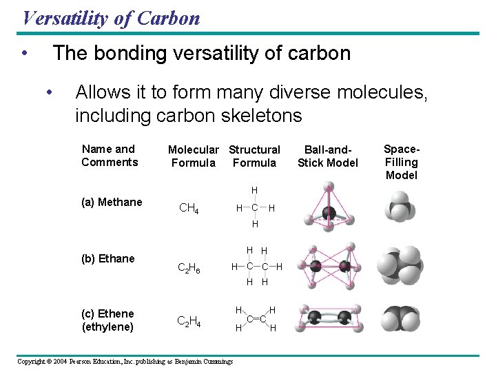 Versatility of Carbon • The bonding versatility of carbon • Allows it to form