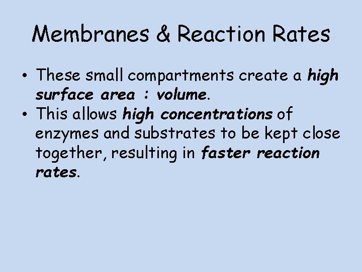 Membranes & Reaction Rates • These small compartments create a high surface area :