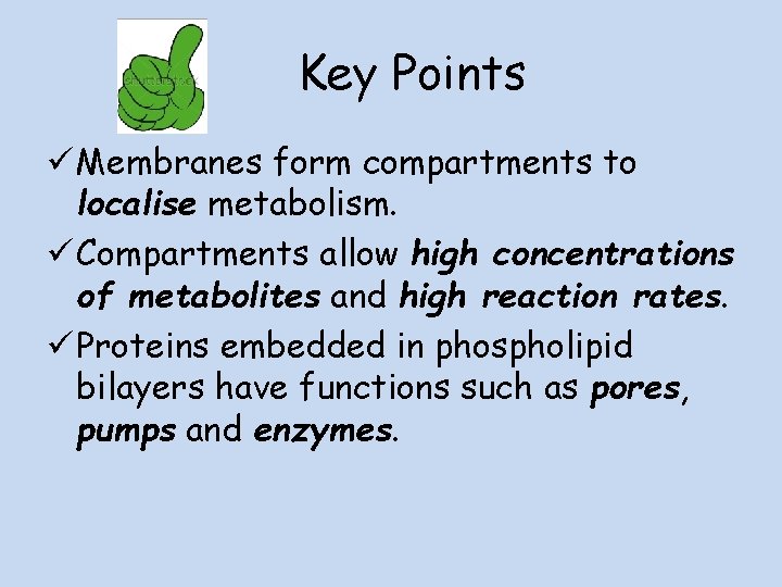 Key Points ü Membranes form compartments to localise metabolism. ü Compartments allow high concentrations