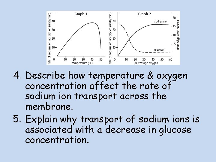 4. Describe how temperature & oxygen concentration affect the rate of sodium ion transport