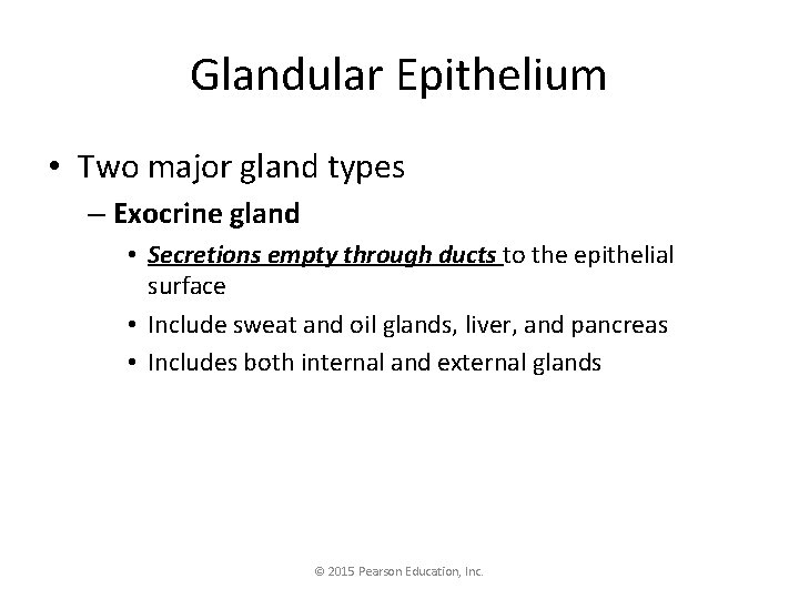 Glandular Epithelium • Two major gland types – Exocrine gland • Secretions empty through