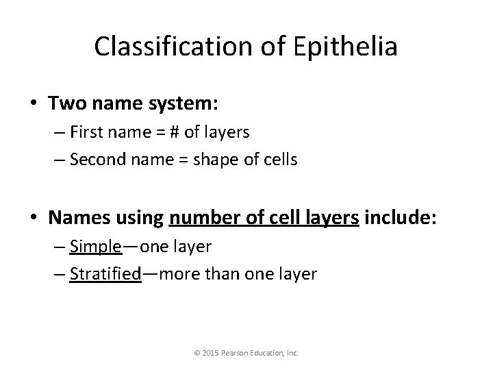 Classification of Epithelia • Two name system: – First name = # of layers
