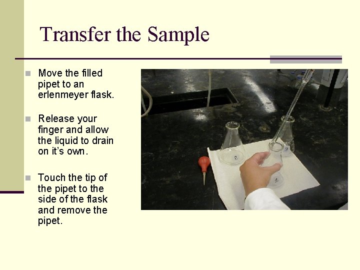 Transfer the Sample n Move the filled pipet to an erlenmeyer flask. n Release