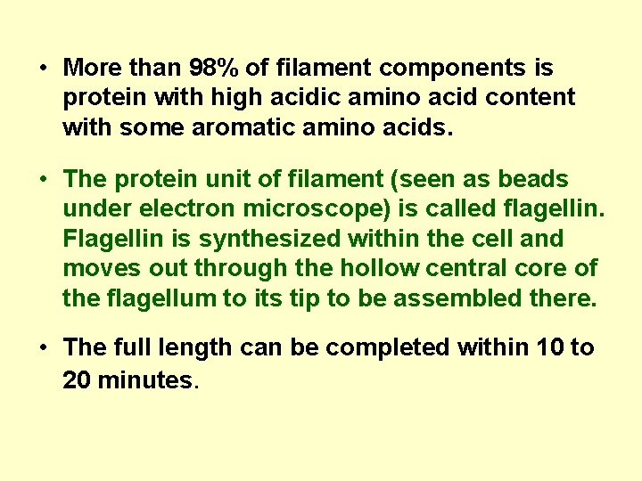  • More than 98% of filament components is protein with high acidic amino