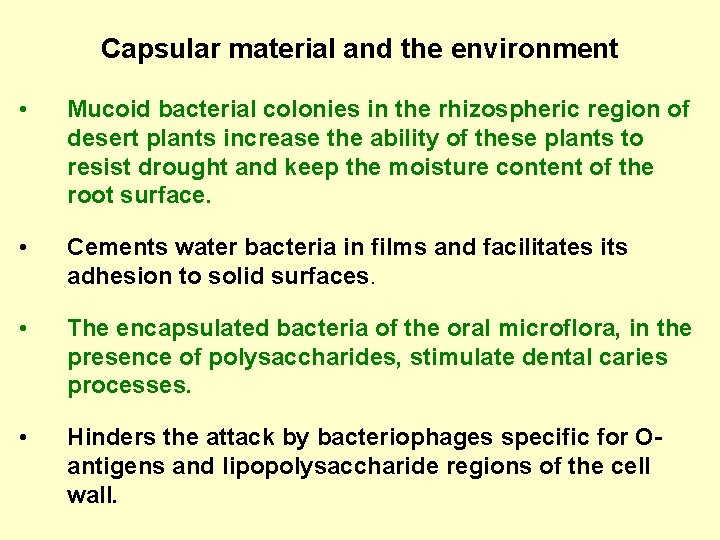 Capsular material and the environment • Mucoid bacterial colonies in the rhizospheric region of