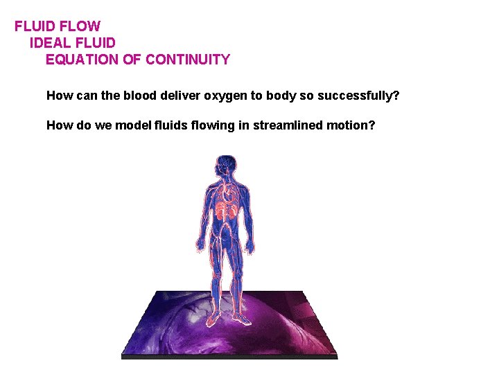FLUID FLOW IDEAL FLUID EQUATION OF CONTINUITY How can the blood deliver oxygen to