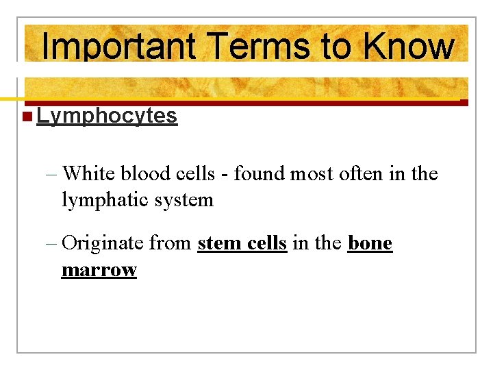 Important Terms to Know n Lymphocytes – White blood cells - found most often