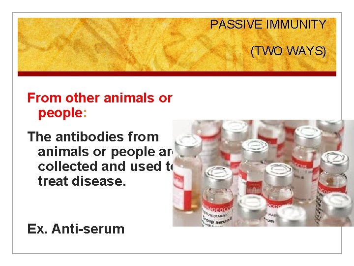 PASSIVE IMMUNITY (TWO WAYS) From other animals or people: The antibodies from animals or
