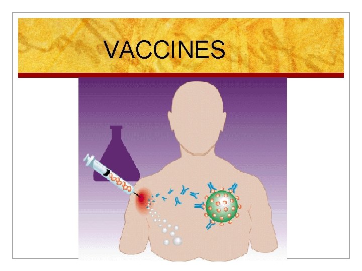 VACCINES 