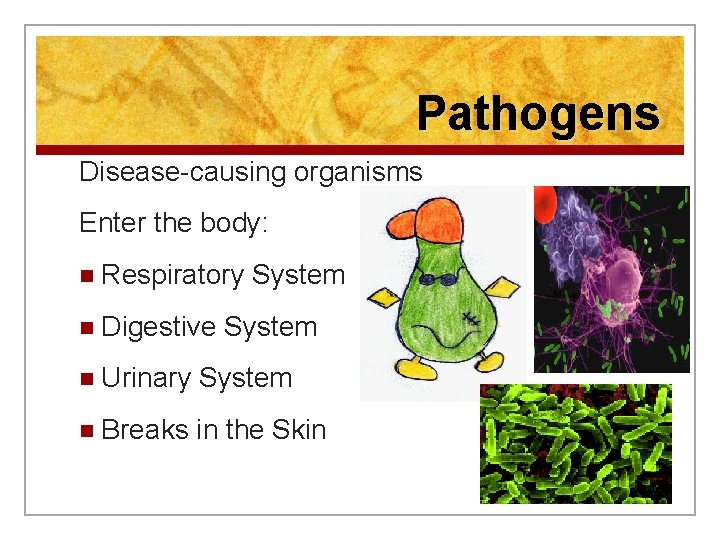 Pathogens Disease-causing organisms Enter the body: n Respiratory n Digestive System n Urinary System