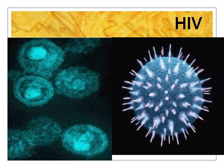 HIV 