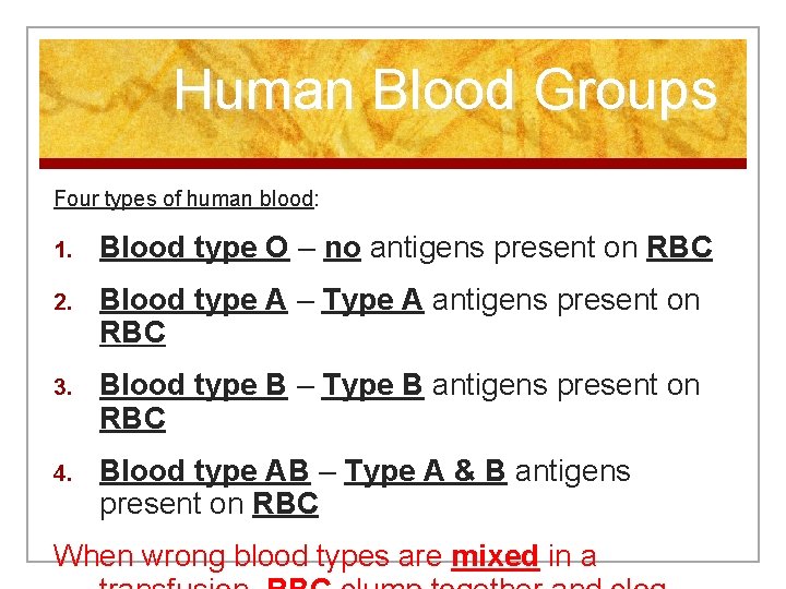 Human Blood Groups Four types of human blood: 1. Blood type O – no
