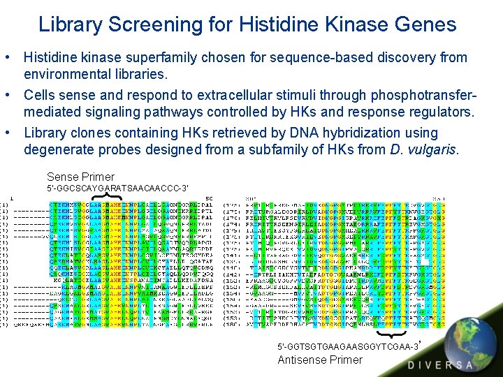 Library Screening for Histidine Kinase Genes • Histidine kinase superfamily chosen for sequence-based discovery