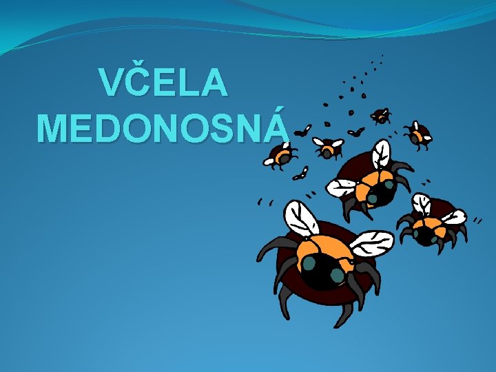 VČELA MEDONOSNÁ 