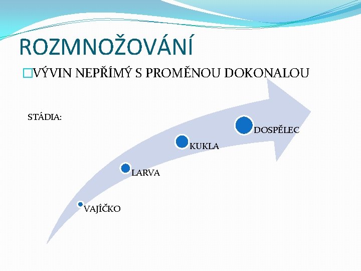 ROZMNOŽOVÁNÍ �VÝVIN NEPŘÍMÝ S PROMĚNOU DOKONALOU STÁDIA: DOSPĚLEC KUKLA LARVA VAJÍČKO 