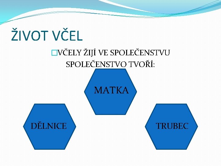 ŽIVOT VČEL �VČELY ŽIJÍ VE SPOLEČENSTVU SPOLEČENSTVO TVOŘÍ: MATKA DĚLNICE TRUBEC 