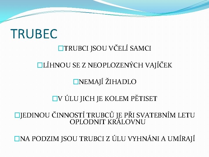 TRUBEC �TRUBCI JSOU VČELÍ SAMCI �LÍHNOU SE Z NEOPLOZENÝCH VAJÍČEK �NEMAJÍ ŽIHADLO �V ÚLU