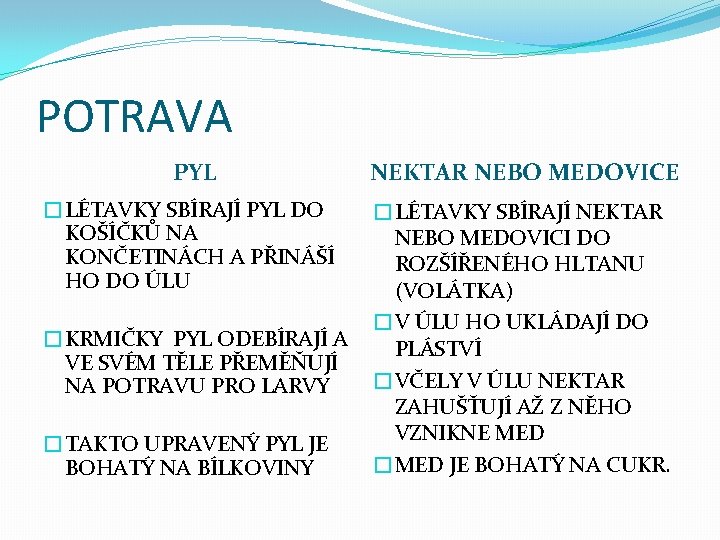 POTRAVA PYL NEKTAR NEBO MEDOVICE �LÉTAVKY SBÍRAJÍ PYL DO KOŠÍČKŮ NA KONČETINÁCH A PŘINÁŠÍ