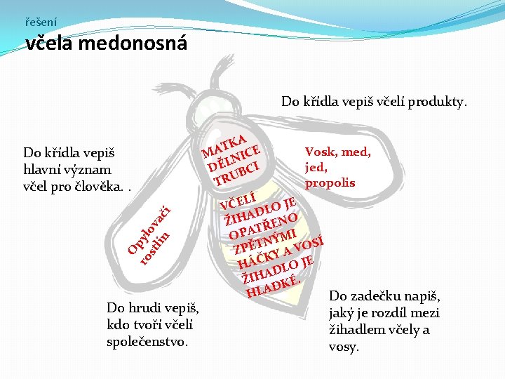 řešení včela medonosná Do křídla vepiš včelí produkty. O ro pyl st ov lin