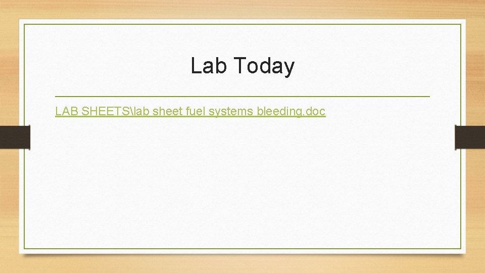 Lab Today LAB SHEETSlab sheet fuel systems bleeding. doc 