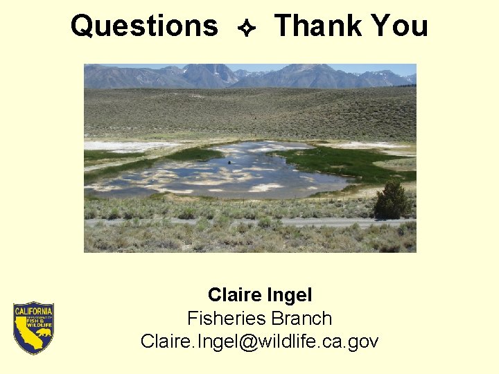 Questions Thank You Claire Ingel Fisheries Branch Claire. Ingel@wildlife. ca. gov 