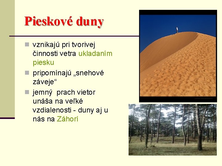 Pieskové duny n vznikajú pri tvorivej činnosti vetra ukladaním piesku n pripomínajú „snehové záveje“