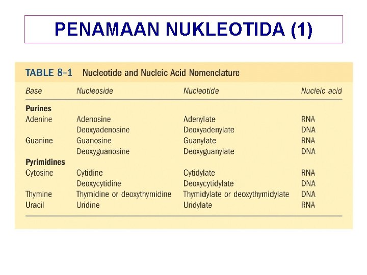 PENAMAAN NUKLEOTIDA (1) 