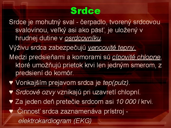 Srdce je mohutný sval - čerpadlo, tvorený srdcovou svalovinou, veľký asi ako päsť, je