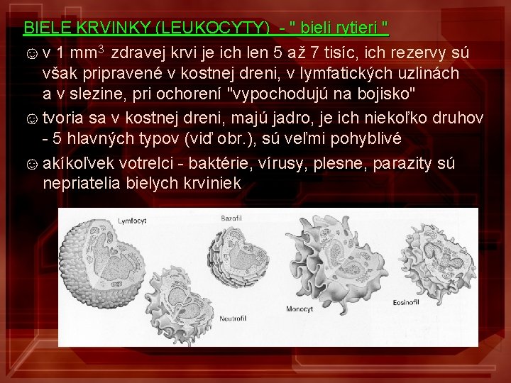 BIELE KRVINKY (LEUKOCYTY) - " bieli rytieri " ☺ v 1 mm 3 zdravej