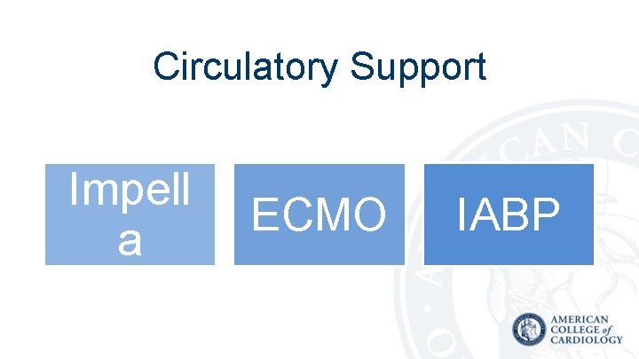 Circulatory Support Impell a ECMO IABP 