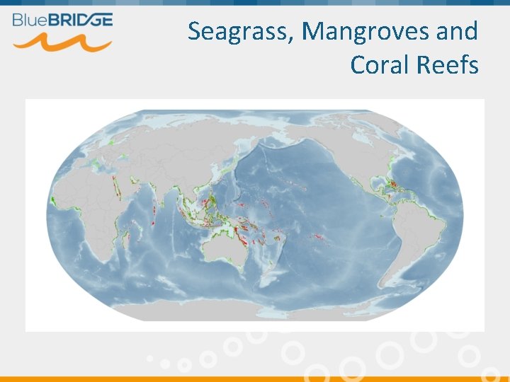 Seagrass, Mangroves and Coral Reefs 