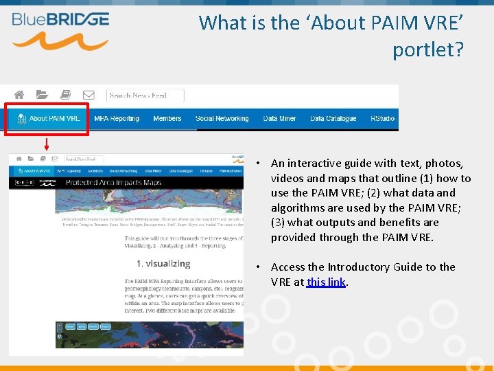 What is the ‘About PAIM VRE’ portlet? • An interactive guide with text, photos,