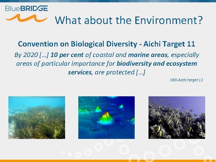 What about the Environment? Convention on Biological Diversity - Aichi Target 11 By 2020