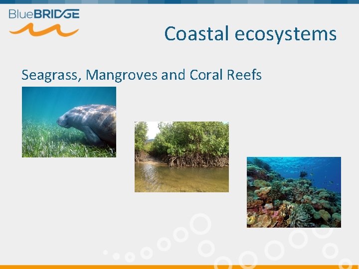 Coastal ecosystems Seagrass, Mangroves and Coral Reefs 