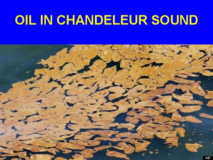 OIL IN CHANDELEUR SOUND 