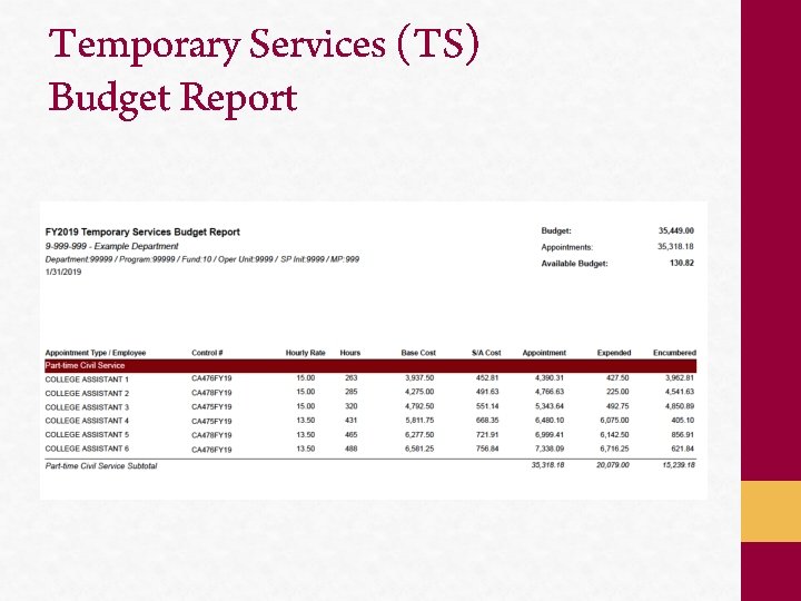 Temporary Services (TS) Budget Report 