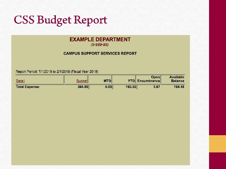 CSS Budget Report 