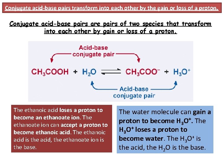 Conjugate acid-base pairs transform into each other by the gain or loss of a