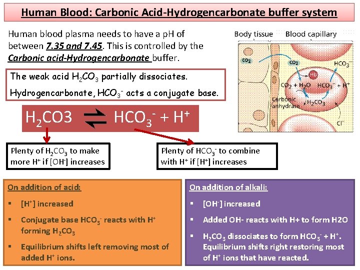 Human Blood: Carbonic Acid-Hydrogencarbonate buffer system Human blood plasma needs to have a p.