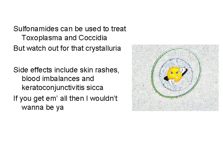 Sulfonamides can be used to treat Toxoplasma and Coccidia But watch out for that
