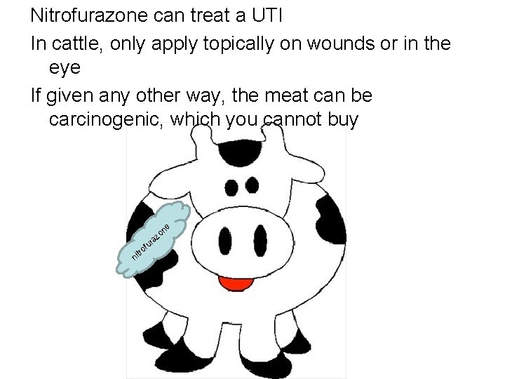 Nitrofurazone can treat a UTI In cattle, only apply topically on wounds or in