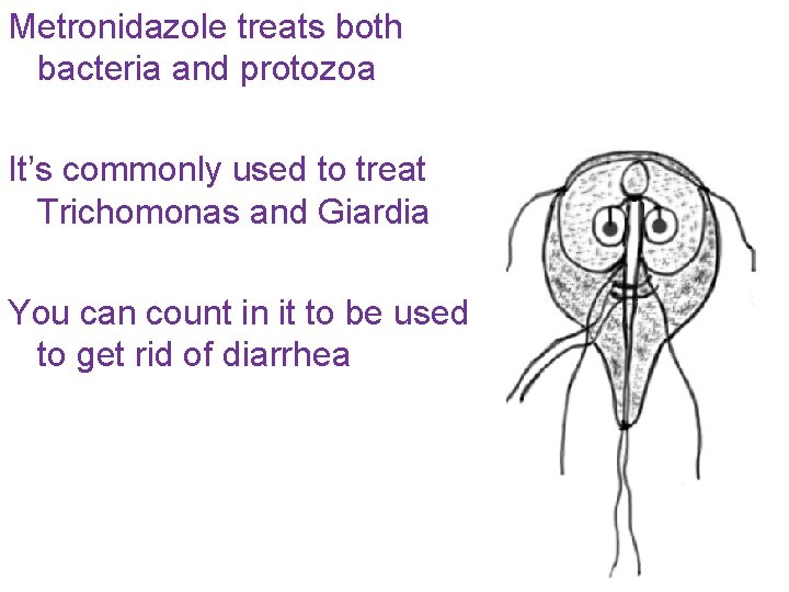 Metronidazole treats both bacteria and protozoa It’s commonly used to treat Trichomonas and Giardia