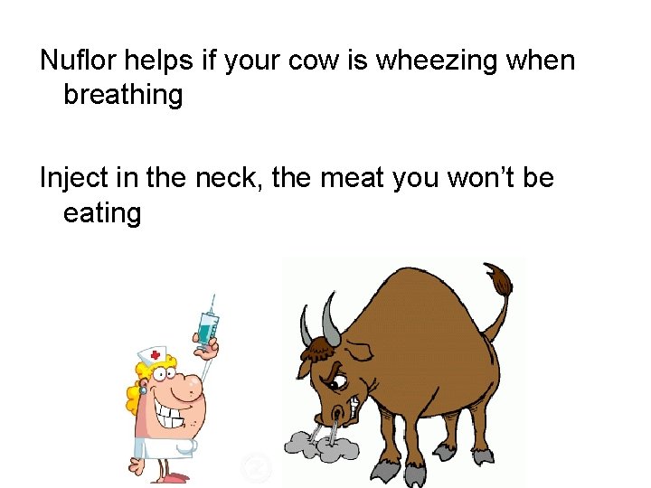 Nuflor helps if your cow is wheezing when breathing Inject in the neck, the