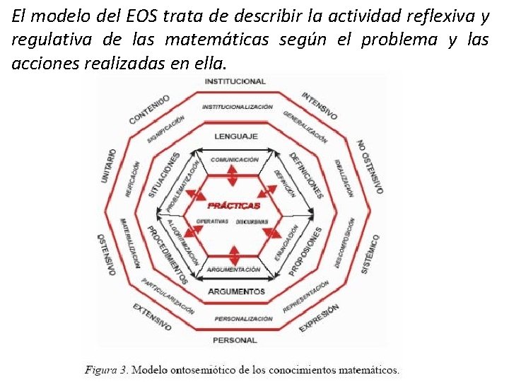 El modelo del EOS trata de describir la actividad reflexiva y regulativa de las