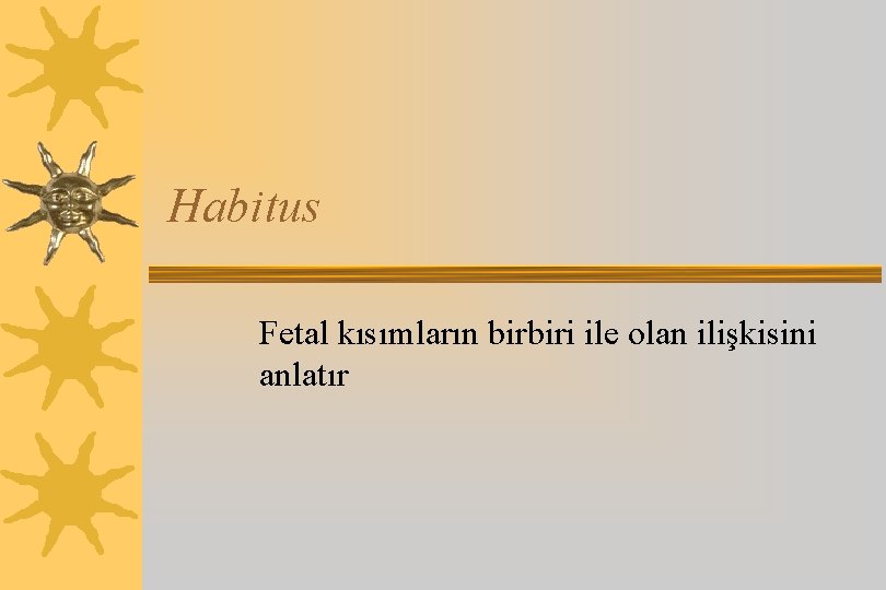 Habitus Fetal kısımların birbiri ile olan ilişkisini anlatır 