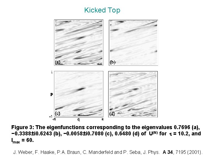 Kicked Top Figure 3: The eigenfunctions corresponding to the eigenvalues 0. 7696 (a), −