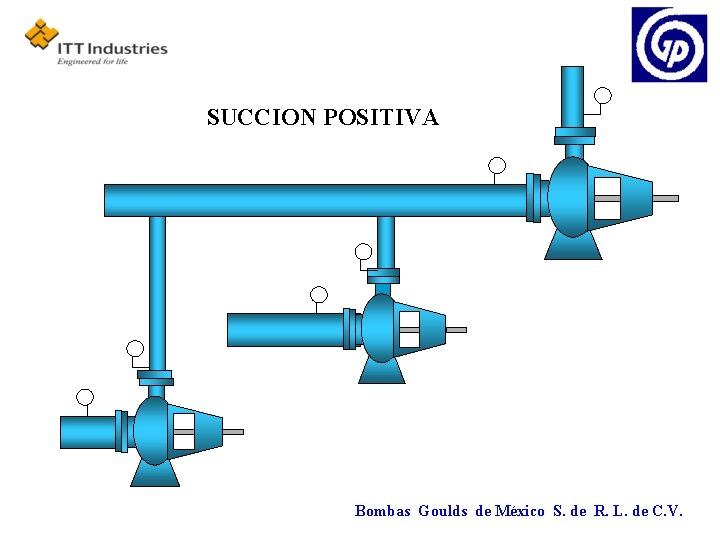 SUCCION POSITIVA Bombas Goulds de México S. de R. L. de C. V. 