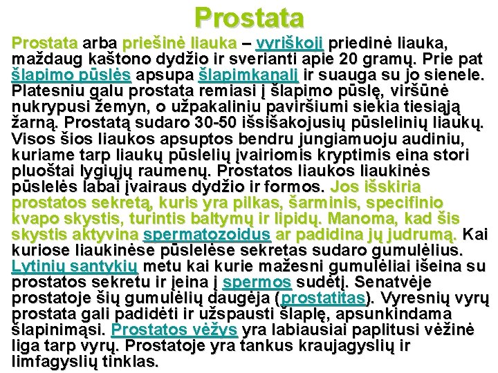 Prostata arba priešinė liauka – vyriškoji priedinė liauka, maždaug kaštono dydžio ir sverianti apie