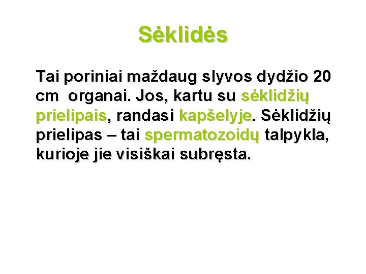 Sėklidės Tai poriniai maždaug slyvos dydžio 20 cm organai. Jos, kartu su sėklidžių prielipais,